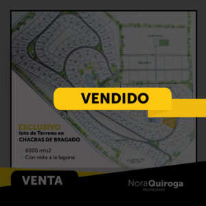 Nora Quiroga feed 2-60